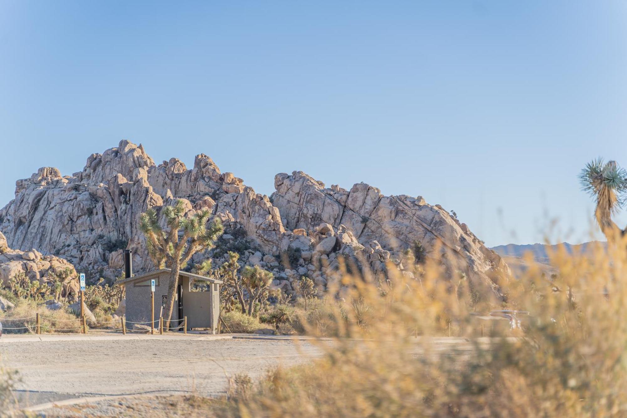 New Property! The Cactus Villas At Joshua Tree National Park - Pool, Hot Tub, Outdoor Shower, Fire Pit Twentynine Palms Eksteriør billede